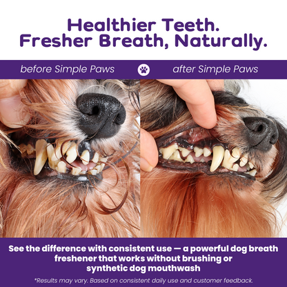 SimplePaws - Dog Dental Powder