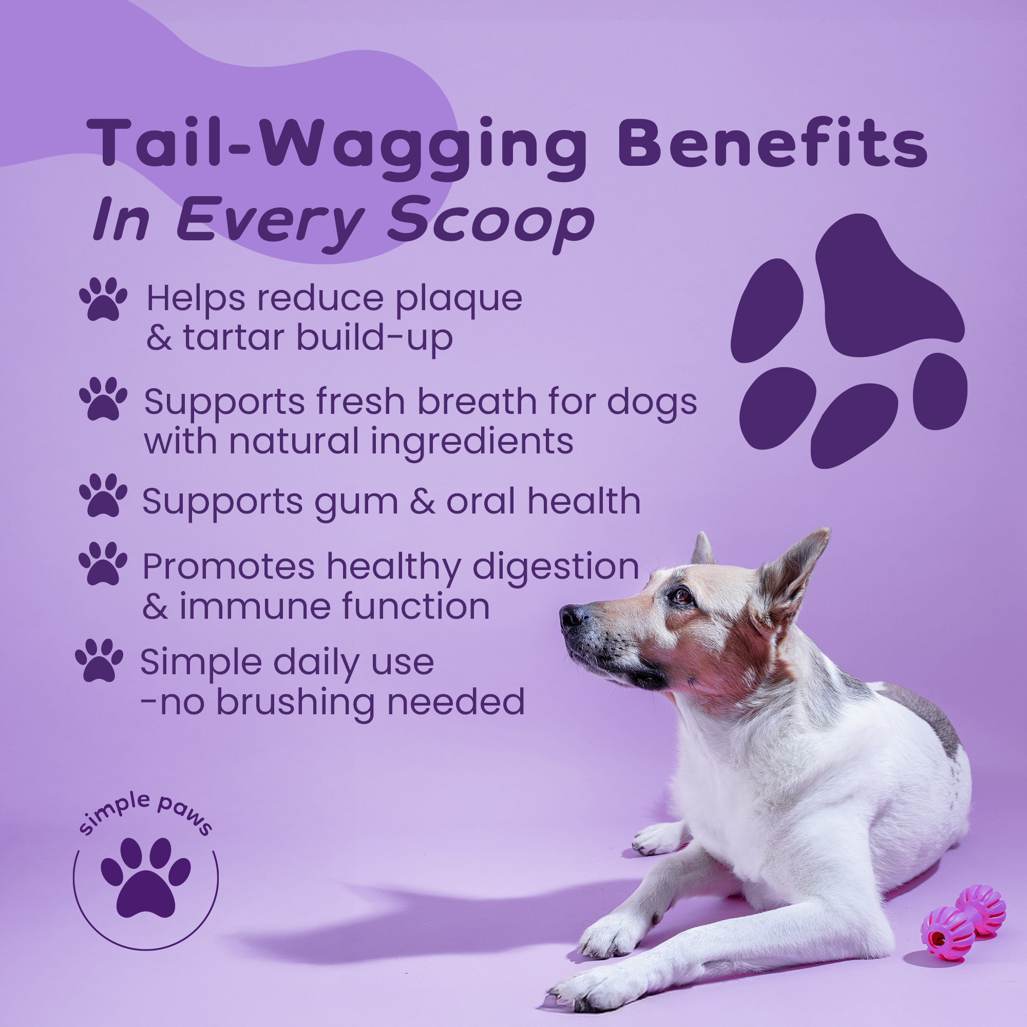 SimplePaws tail-wagging benefits