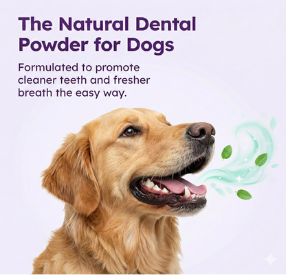SimplePaws - Dog Dental Powder
